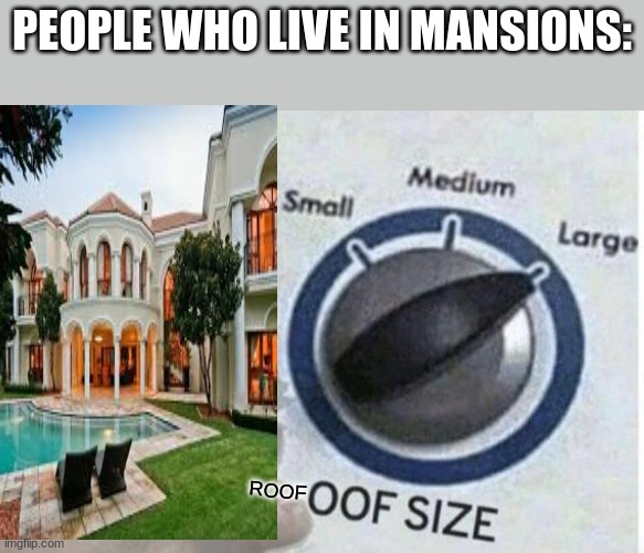 ROOF size large | PEOPLE WHO LIVE IN MANSIONS:; ROOF | image tagged in oof size large,memes,mansions,see what i did there,bad pun,roof | made w/ Imgflip meme maker