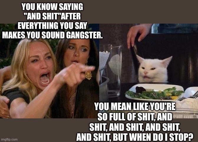 Woman yelling at cat | YOU KNOW SAYING "AND SHIT"AFTER EVERYTHING YOU SAY MAKES YOU SOUND GANGSTER. YOU MEAN LIKE YOU'RE SO FULL OF SHIT, AND SHIT, AND SHIT, AND SHIT, AND SHIT, BUT WHEN DO I STOP? | image tagged in woman yelling at smudge the cat | made w/ Imgflip meme maker
