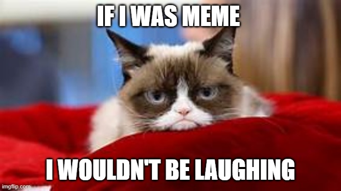 Grumpy cat meme | IF I WAS MEME; I WOULDN'T BE LAUGHING | image tagged in grumpy cat | made w/ Imgflip meme maker