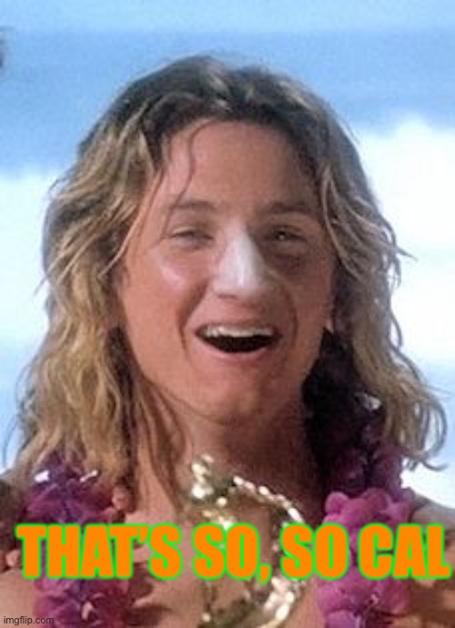 Dumb Surfer | THAT’S SO, SO CAL | image tagged in dumb surfer | made w/ Imgflip meme maker