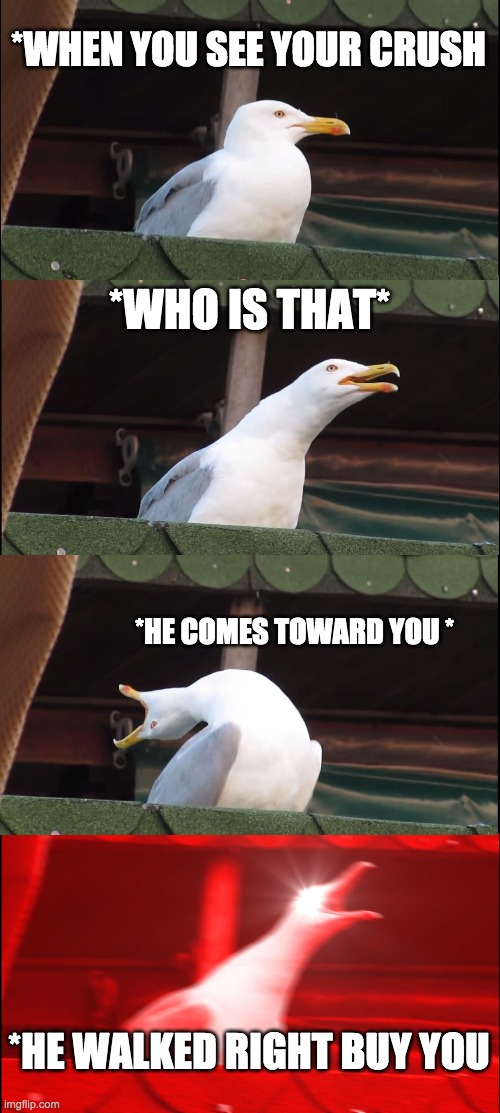 IN HALES MANNNNNN | *WHEN YOU SEE YOUR CRUSH; *WHO IS THAT*; *HE COMES TOWARD YOU *; *HE WALKED RIGHT BUY YOU | image tagged in memes,inhaling seagull | made w/ Imgflip meme maker
