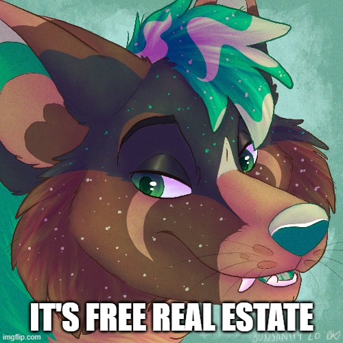 It's free real estate | IT'S FREE REAL ESTATE | image tagged in furry,furries,funny | made w/ Imgflip meme maker
