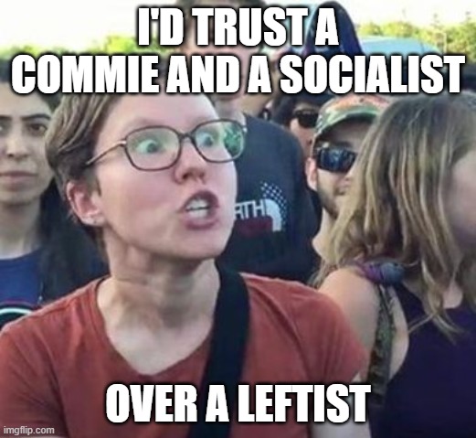 Who would you trust over a leftist | I'D TRUST A COMMIE AND A SOCIALIST; OVER A LEFTIST | image tagged in trigger a leftist,trust | made w/ Imgflip meme maker