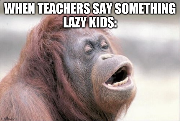 Monkey OOH Meme | WHEN TEACHERS SAY SOMETHING
LAZY KIDS: | image tagged in memes,monkey ooh | made w/ Imgflip meme maker