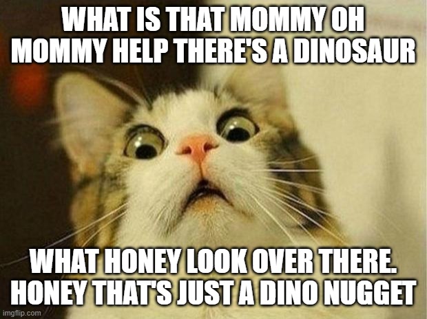 Scared Cat Meme | WHAT IS THAT MOMMY OH MOMMY HELP THERE'S A DINOSAUR; WHAT HONEY LOOK OVER THERE. HONEY THAT'S JUST A DINO NUGGET | image tagged in memes,scared cat | made w/ Imgflip meme maker