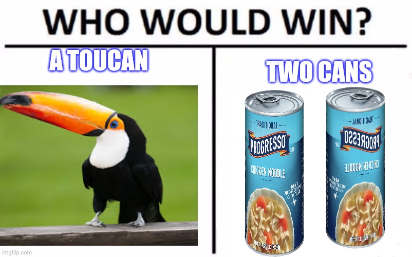 A TOUCAN; TWO CANS | image tagged in birds,chicken | made w/ Imgflip meme maker