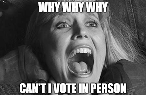 I just want to get out of the house | WHY WHY WHY; CAN'T I VOTE IN PERSON | image tagged in memes,fun,funny,2020,vote,scream | made w/ Imgflip meme maker