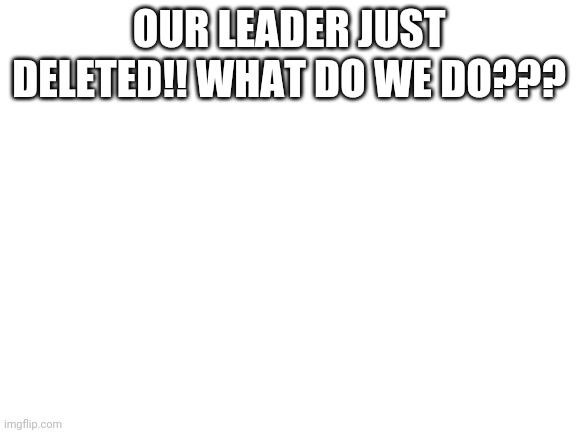 AAAAAAAAAAAAHH | OUR LEADER JUST DELETED!! WHAT DO WE DO??? | image tagged in blank white template | made w/ Imgflip meme maker