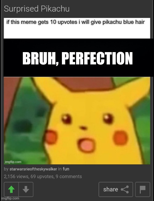 Perfection lol | BRUH, PERFECTION | image tagged in funny | made w/ Imgflip meme maker