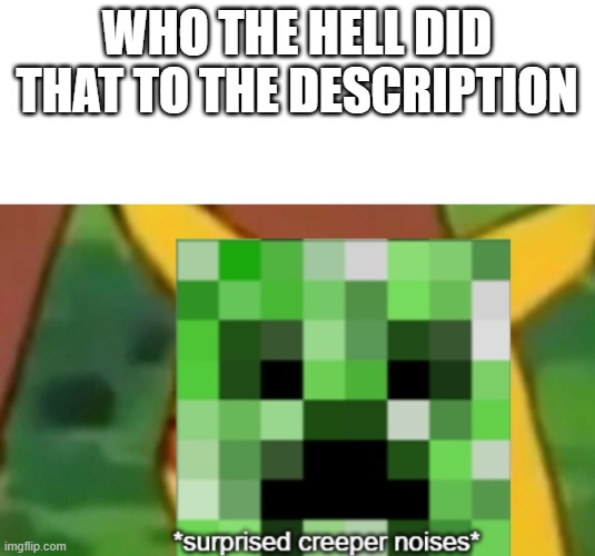 Boi | WHO THE HELL DID THAT TO THE DESCRIPTION | image tagged in surprised creeper | made w/ Imgflip meme maker