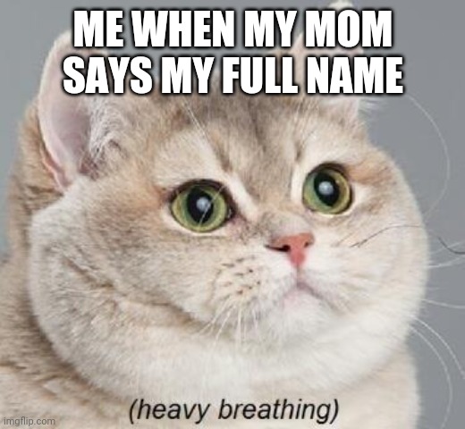 Heavy Breathing Cat | ME WHEN MY MOM SAYS MY FULL NAME | image tagged in memes,heavy breathing cat | made w/ Imgflip meme maker