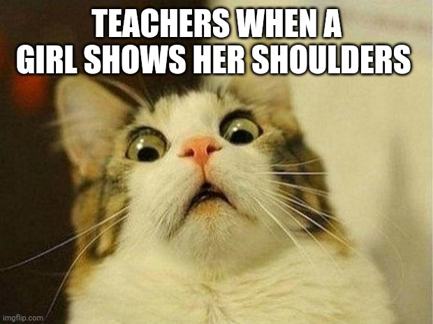 Scared Cat | TEACHERS WHEN A GIRL SHOWS HER SHOULDERS | image tagged in memes,scared cat | made w/ Imgflip meme maker