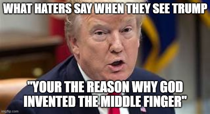 Trump gets roasted | WHAT HATERS SAY WHEN THEY SEE TRUMP; "YOUR THE REASON WHY GOD INVENTED THE MIDDLE FINGER" | image tagged in roasted,donald trump | made w/ Imgflip meme maker