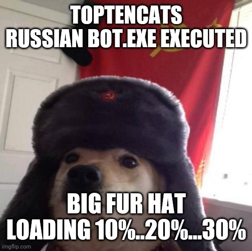 Russian Doge | TOPTENCATS RUSSIAN BOT.EXE EXECUTED BIG FUR HAT LOADING 10%..20%...30% | image tagged in russian doge | made w/ Imgflip meme maker