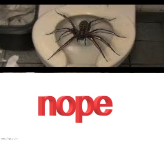 Nope | image tagged in nope | made w/ Imgflip meme maker