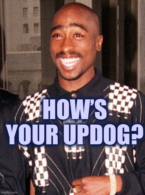 Hmmm? | HOW’S YOUR UPDOG? | image tagged in 2pac,olipts now,china joe gotta go | made w/ Imgflip meme maker
