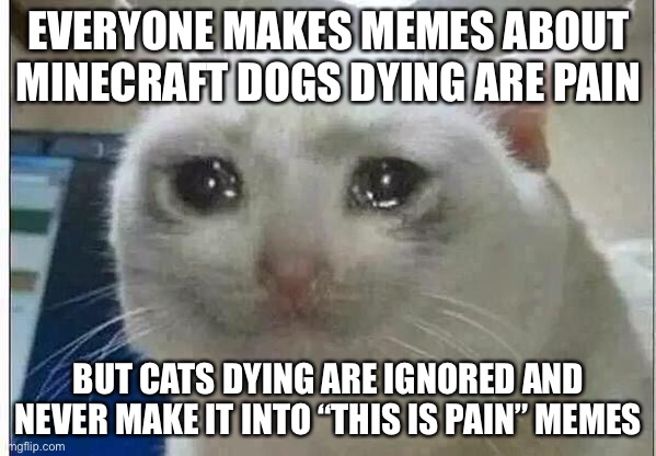 This is true tho | EVERYONE MAKES MEMES ABOUT MINECRAFT DOGS DYING ARE PAIN; BUT CATS DYING ARE IGNORED AND NEVER MAKE IT INTO “THIS IS PAIN” MEMES | image tagged in crying cat | made w/ Imgflip meme maker