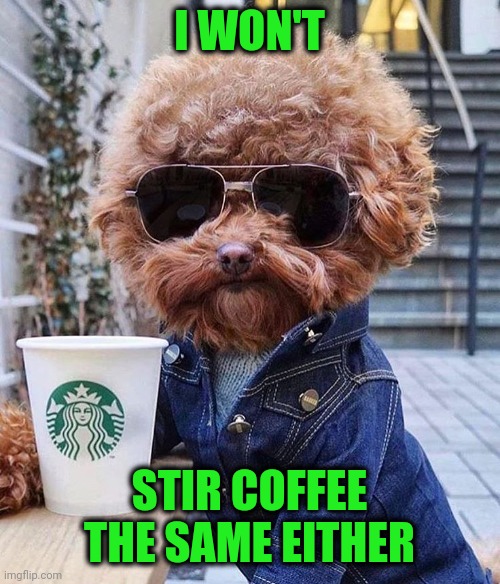 groovy | I WON'T STIR COFFEE THE SAME EITHER | image tagged in groovy | made w/ Imgflip meme maker
