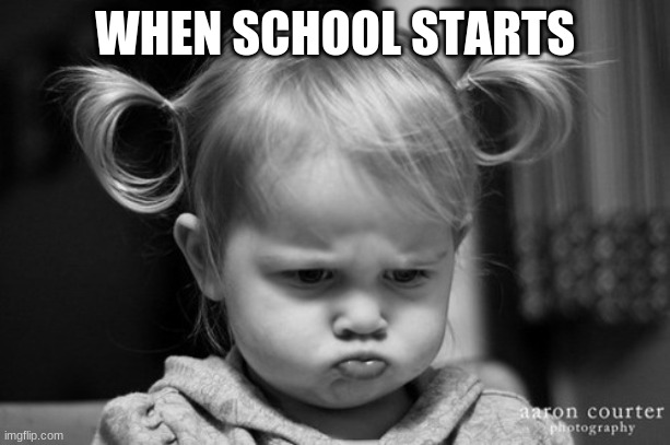 Current mood | WHEN SCHOOL STARTS | image tagged in current mood | made w/ Imgflip meme maker
