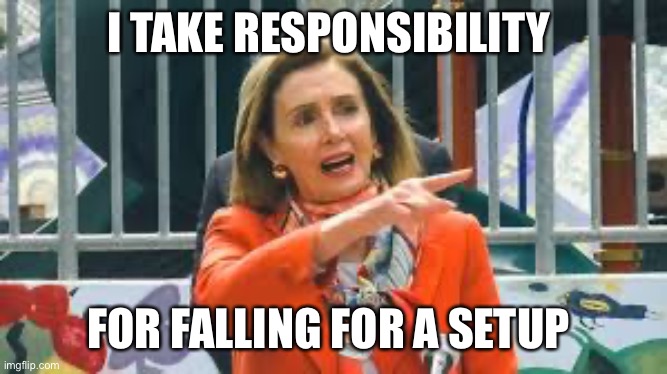 Nancy Pelosi | I TAKE RESPONSIBILITY; FOR FALLING FOR A SETUP | image tagged in salon,american politics | made w/ Imgflip meme maker