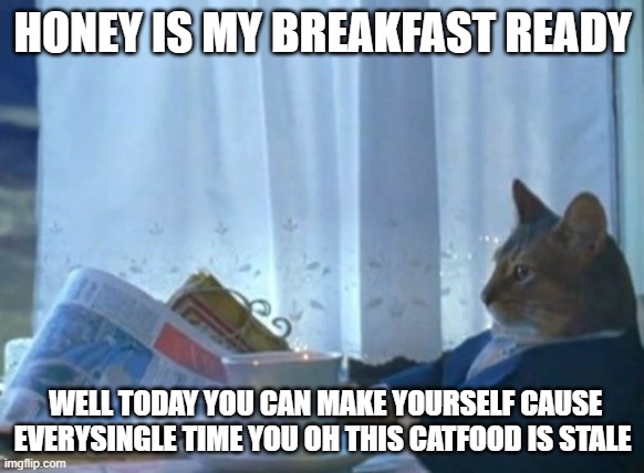I Should Buy A Boat Cat | HONEY IS MY BREAKFAST READY; WELL TODAY YOU CAN MAKE YOURSELF CAUSE EVERYSINGLE TIME YOU OH THIS CATFOOD IS STALE | image tagged in memes,i should buy a boat cat | made w/ Imgflip meme maker