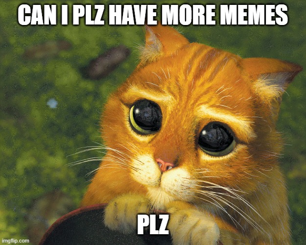 Puss And Boots Wants More Memes | CAN I PLZ HAVE MORE MEMES; PLZ | image tagged in cat,memes,need,cute | made w/ Imgflip meme maker