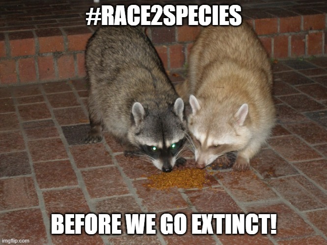 Natural Selection? no they call it racism. | #RACE2SPECIES; BEFORE WE GO EXTINCT! | image tagged in animal,not racist | made w/ Imgflip meme maker