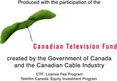 Old Canadian Television Fund Blank Meme Template