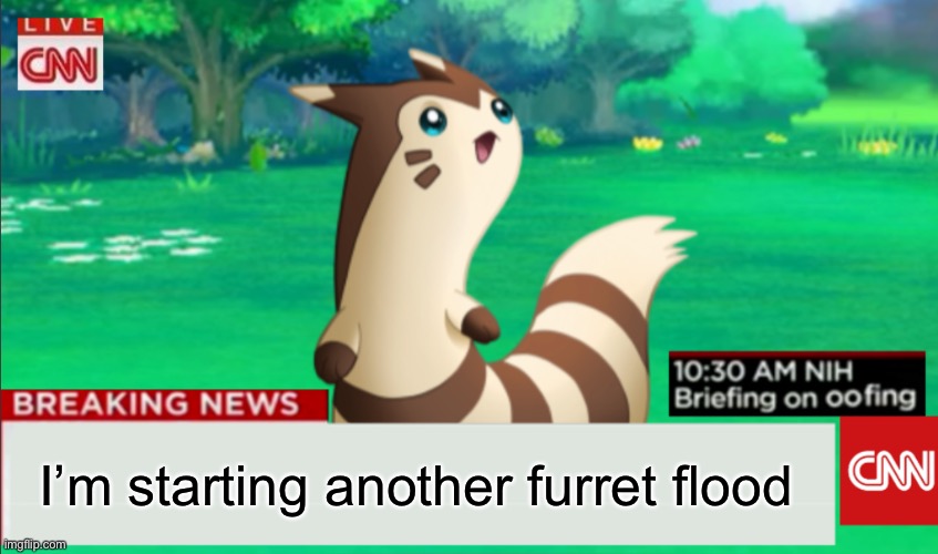 Every time I post a meme here, it will have furret in the background | I’m starting another furret flood | image tagged in breaking news furret | made w/ Imgflip meme maker