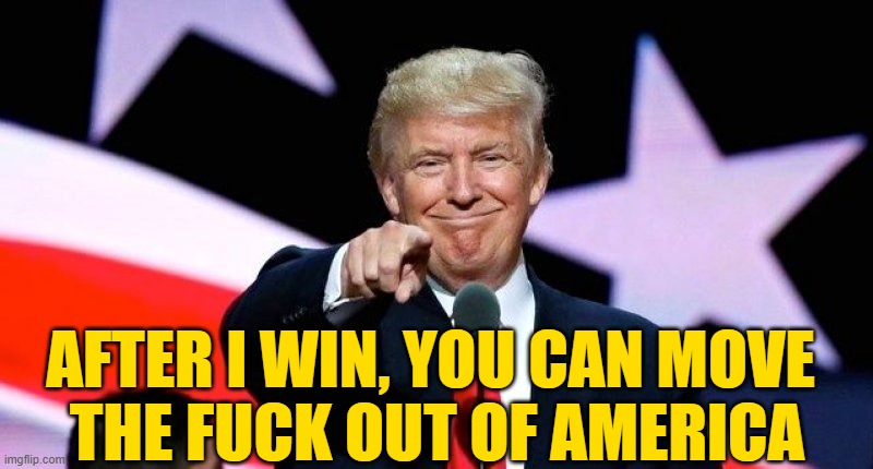 Donald Trump pointing at you. | AFTER I WIN, YOU CAN MOVE 
THE FUCK OUT OF AMERICA | image tagged in donald trump pointing at you | made w/ Imgflip meme maker