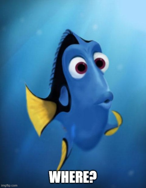 Dory | WHERE? | image tagged in dory | made w/ Imgflip meme maker