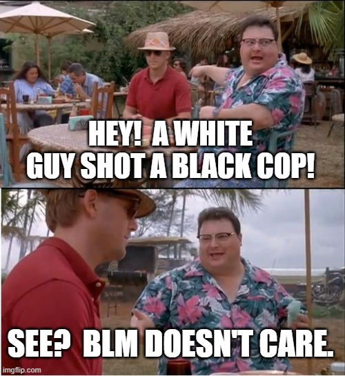 See Nobody Cares Meme | HEY!  A WHITE GUY SHOT A BLACK COP! SEE?  BLM DOESN'T CARE. | image tagged in memes,see nobody cares | made w/ Imgflip meme maker