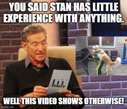 Maury Povich "That was a Lie"  | YOU SAID STAN HAS LITTLE EXPERIENCE WITH ANYTHING. WELL THIS VIDEO SHOWS OTHERWISE! | image tagged in maury povich that was a lie | made w/ Imgflip meme maker