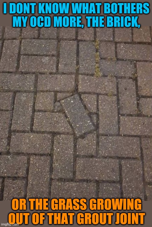 Out of Joint | I DONT KNOW WHAT BOTHERS MY OCD MORE, THE BRICK, OR THE GRASS GROWING OUT OF THAT GROUT JOINT | image tagged in ocd,brick,memes | made w/ Imgflip meme maker