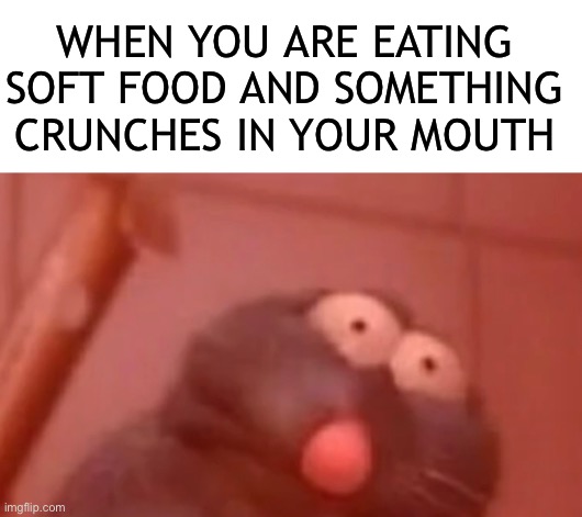 Repost of my favorite meme I made | WHEN YOU ARE EATING SOFT FOOD AND SOMETHING CRUNCHES IN YOUR MOUTH | image tagged in repost,ratatouille,crunch,food | made w/ Imgflip meme maker