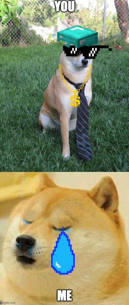 YOU; ME | image tagged in business doge,sad doge | made w/ Imgflip meme maker