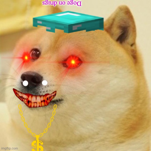 Doge Meme | Doge on drugs | image tagged in memes,doge | made w/ Imgflip meme maker