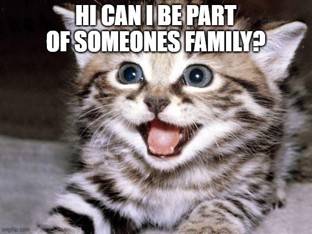 can someone adopt me, would be nice to know some ppl round here. I'll tell ya'll bout meself in comments. | HI CAN I BE PART OF SOMEONES FAMILY? | image tagged in uber cute cat | made w/ Imgflip meme maker