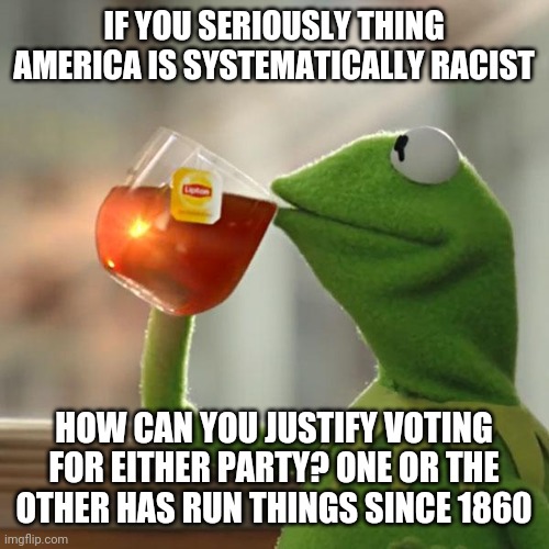But That's None Of My Business Meme | IF YOU SERIOUSLY THING AMERICA IS SYSTEMATICALLY RACIST; HOW CAN YOU JUSTIFY VOTING FOR EITHER PARTY? ONE OR THE OTHER HAS RUN THINGS SINCE 1860 | image tagged in memes,but that's none of my business,kermit the frog | made w/ Imgflip meme maker