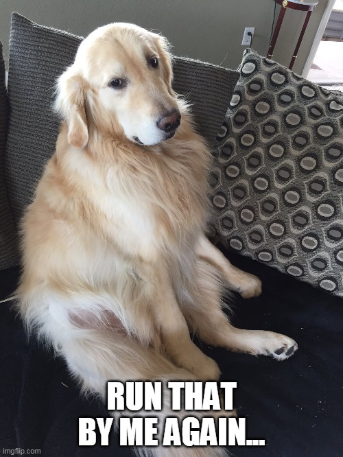 Skeptical doggo is Skeptical | RUN THAT BY ME AGAIN... | image tagged in good boy,skeptical dog,golden retriever,dog,pets,funny dogs | made w/ Imgflip meme maker