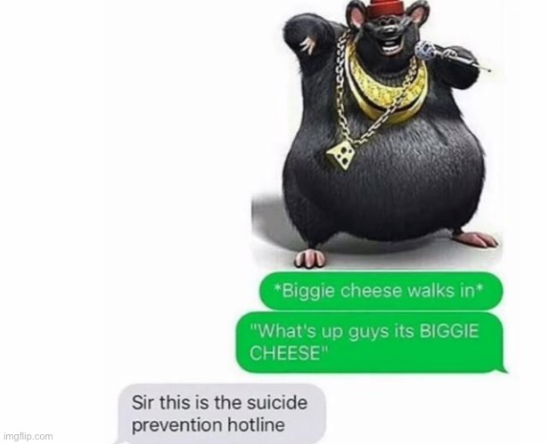 The fact that it’s a suicide prevention hotline makes it even better | image tagged in biggie cheese,suicide,texting | made w/ Imgflip meme maker
