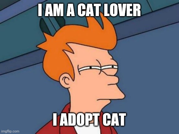 Cats adopted | I AM A CAT LOVER; I ADOPT CAT | image tagged in memes,futurama fry | made w/ Imgflip meme maker