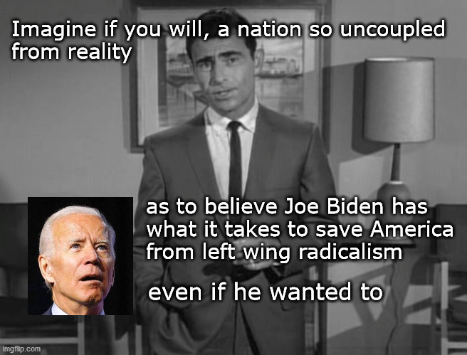 imagine a world | Imagine if you will, a nation so uncoupled 
from reality; as to believe Joe Biden has 
what it takes to save America 
from left wing radicalism; even if he wanted to | image tagged in joe biden | made w/ Imgflip meme maker