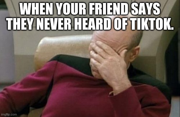 The friends I have. | WHEN YOUR FRIEND SAYS THEY NEVER HEARD OF TIKTOK. | image tagged in memes,captain picard facepalm | made w/ Imgflip meme maker