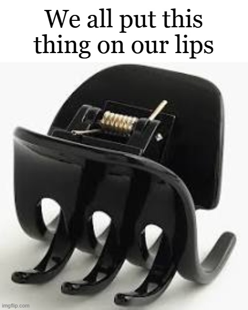 Hair Clip | We all put this thing on our lips | image tagged in memes,funny | made w/ Imgflip meme maker