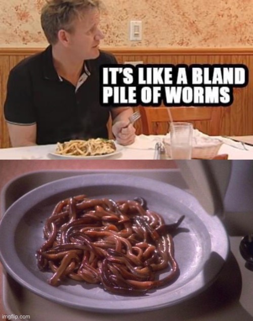 Gagh it’s what’s for Dinner | image tagged in klingon,food,kitchen nightmares,chef gordon ramsay,star trek,worms | made w/ Imgflip meme maker