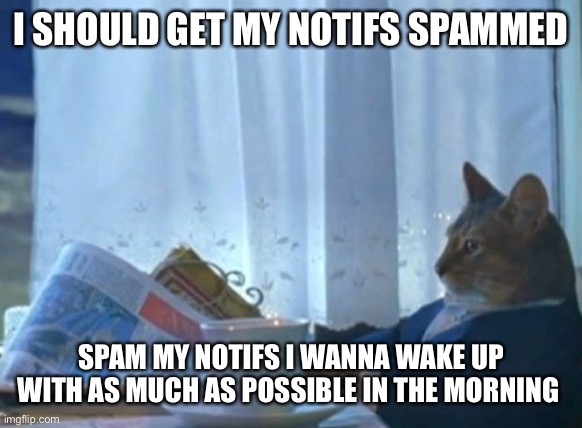 I Should Buy A Boat Cat | I SHOULD GET MY NOTIFS SPAMMED; SPAM MY NOTIFS I WANNA WAKE UP WITH AS MUCH AS POSSIBLE IN THE MORNING | image tagged in memes,i should buy a boat cat | made w/ Imgflip meme maker
