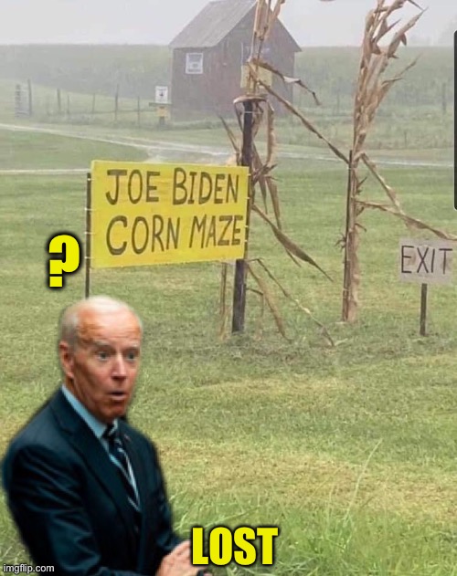 A Maze Zing Joe Biden | ? LOST | image tagged in joe biden,corn maze,maise | made w/ Imgflip meme maker