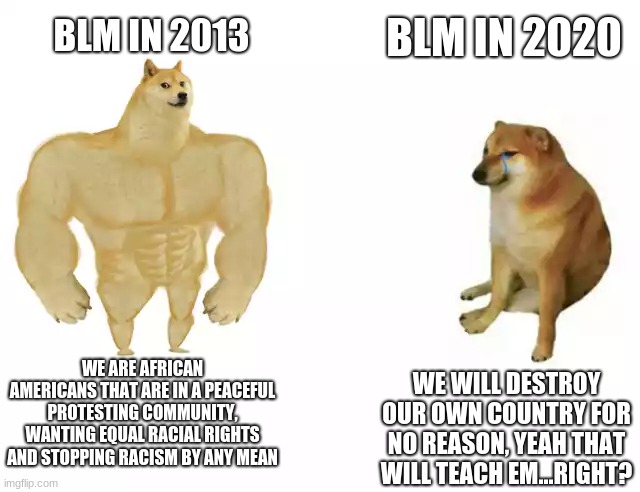 Buff Doge vs. Cheems Meme | BLM IN 2013 BLM IN 2020 WE ARE AFRICAN AMERICANS THAT ARE IN A PEACEFUL PROTESTING COMMUNITY, WANTING EQUAL RACIAL RIGHTS AND STOPPING RACIS | image tagged in buff doge vs cheems | made w/ Imgflip meme maker