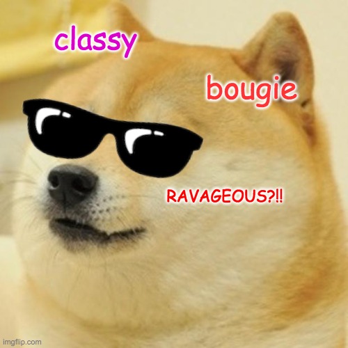 MY FRIEND TRYING TO SING SAVAGE | classy; bougie; RAVAGEOUS?!! | image tagged in memes,doge | made w/ Imgflip meme maker